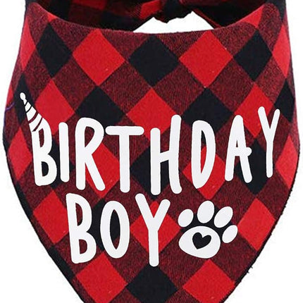 Birthday Boy Dog Bandana
