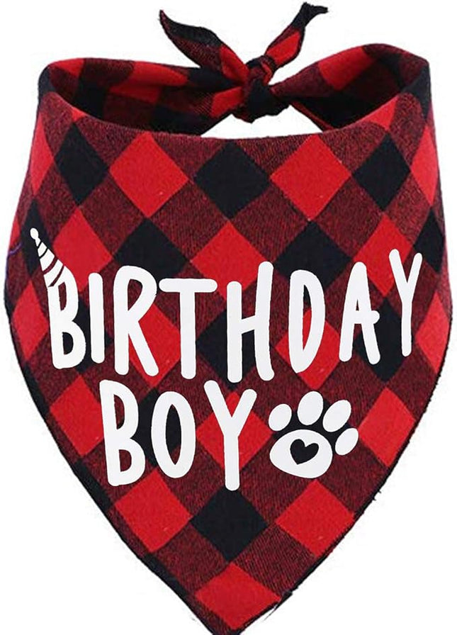 Birthday Boy Dog Bandana