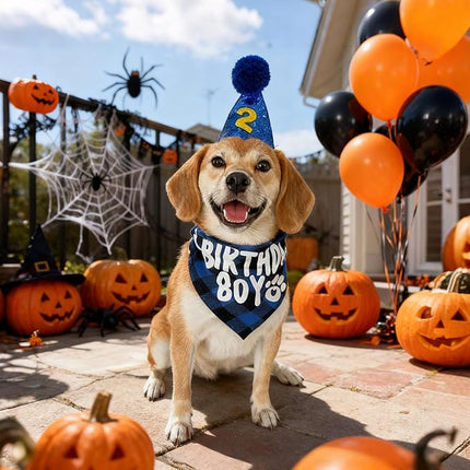 LESYPET Dog Birthday Party Supplies, Dog Birthday Hat with Bandana, and Banner, Cat Decorations Set for Party, Blue