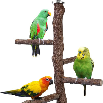 Bird Perch Stand Toy, Natural Wood Parrot Perch Bird Cage Branch Perch Accessories for Parakeets Cockatiels Conures Macaws Finches Love Birds (M: 10" Length)