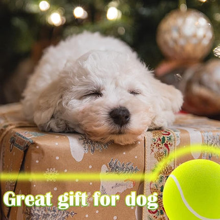 Large Dog Tennis Ball,9.5" Giant Doy Sport Ball Toy,Pet Birthday Gifts Interactive Dog Toys for Small Medium Large Dog