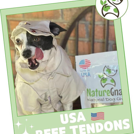 Nature Gnaws USA Beef Tendons for Dogs (8oz) - Mixed Thickness - Long Lasting for Aggressive Chewers - Premium Natural Beef Dog Chew Treats - Rawhide Free