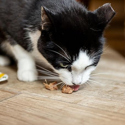 hotspot pets Freeze Dried Tuna Treats for Cats & Dogs - Made in USA, 1lb Value Bag, Single Ingredient, All Natural -Healthy, High Protein, Perfect for Training, Topper or Snack