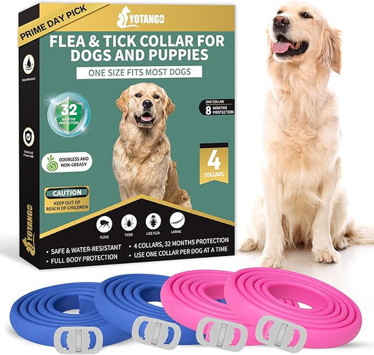 YOTANGO 4 Pack Flea Collar for Dogs, Dog Flea Collar Waterproof, 32 Months Prevention, Dog Fleas and Tick Treatment, Adjustable Fleas and Tick Protection for Dogs Puppy(Blue & Pink)