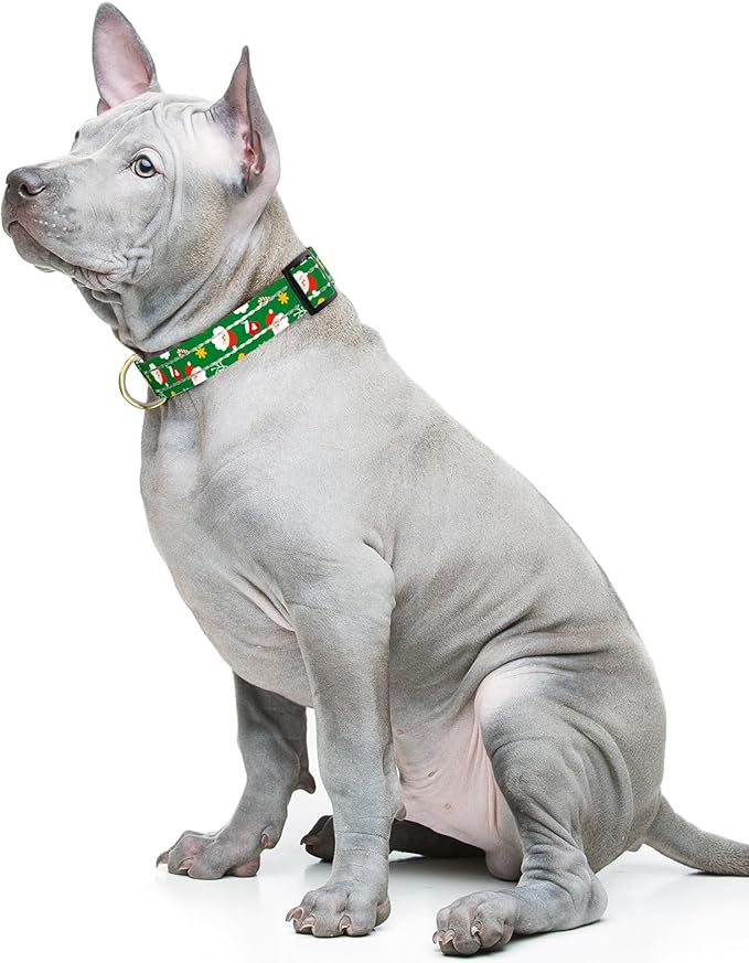 Reflective Dog Collar, Cute Christmas Style Dog Collars for Medium Dogs, Soft Nylon Puppy Collar for Boy and Girl Female Dog, Adjustable Heavy-Duty Pet Collar with Quick Release Buckle, Green