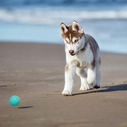 Snug Rubber Dog Balls for Small and Medium Dogs - Tennis Ball Size - Virtually Indestructible (3 Pack - Aqua)