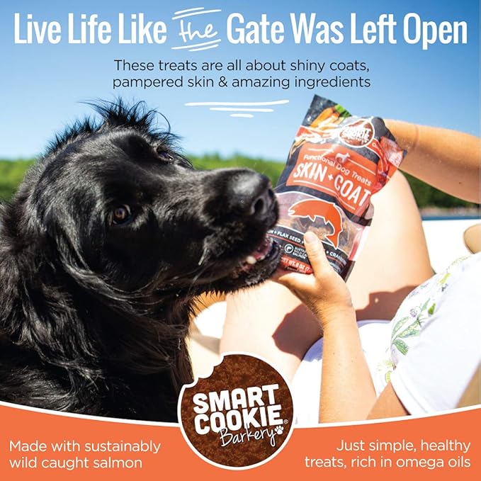 Smart Cookie All Natural Dog Treats - Healthy Skin & Coat Salmon Dog Treats - Ideal for Sensitive Stomachs or Itchy, Allergic, Dry Skin - Dehydrated, Crunchy, Human-Grade, Made in USA - 8oz, Pack of 3