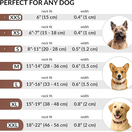 CollarDirect Rolled Leather Dog Collar, Soft Padded Round Puppy Collar, Handmade Genuine Leather Collar Dog Small Large Cat Collars 13 Colors (11-14 Inch, Cinnamon Smooth)