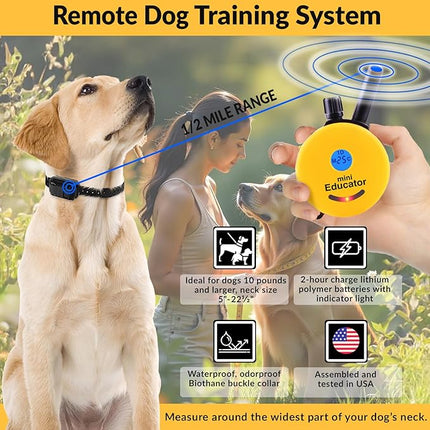 Educator E-Collar Humane Dog Training Collar with Remote, 100 Safe Tapping Stimulation Levels, Night Light, Waterproof, Rechargeable, 1/2 Mile 2 Small-Medium Dogs, Yellow