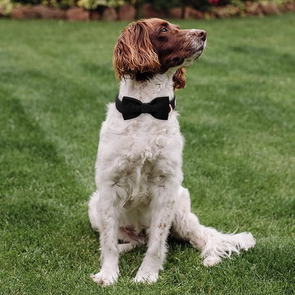 Black Dog Collars for Small Dog,Cute Corduroy Dog Collar with Bow Tie Safety Metal Buckle Adjustable Puppy Collars for Small Medium Large Boy&Girl Dogs,S-Neck 10"-16"