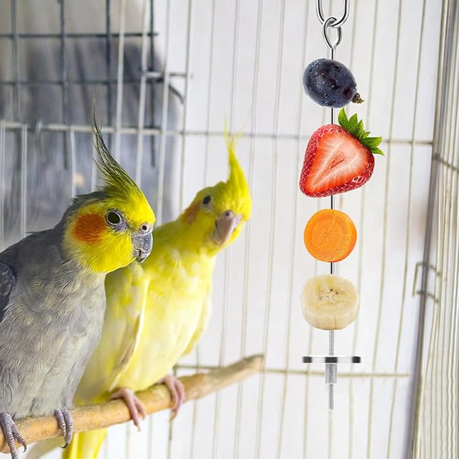Bird Food Holder Stainless Steel Fruit Vegetable Stick Skewer for Parrots Cockatoo Cockatiel Cage Treating Tool (2 PCS-L)
