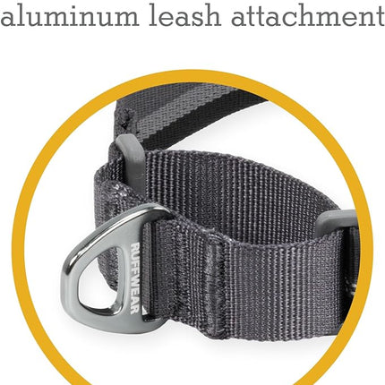 Ruffwear, Web Reaction Dog Collar, Escape-Proof Security Buckle, Adjustable Anti-Slip Martingale Collar with Durable Nylon Tubelok Webbing & Silent ID Attachment, Blue Pool, 14"-17"