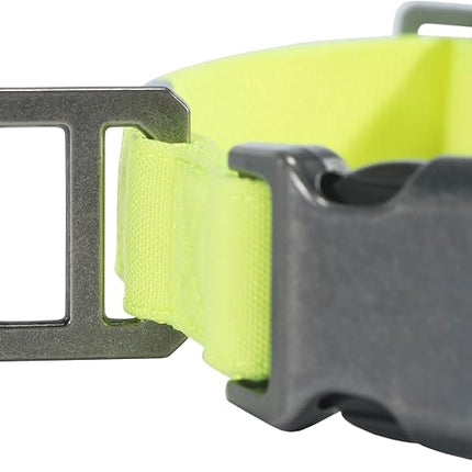 Carhartt Nylon Duck Dog Collar, Fully Adjustable Durable 2-Ply Cordura Nylon Canvas Collars for Dogs, Brite Lime, Medium