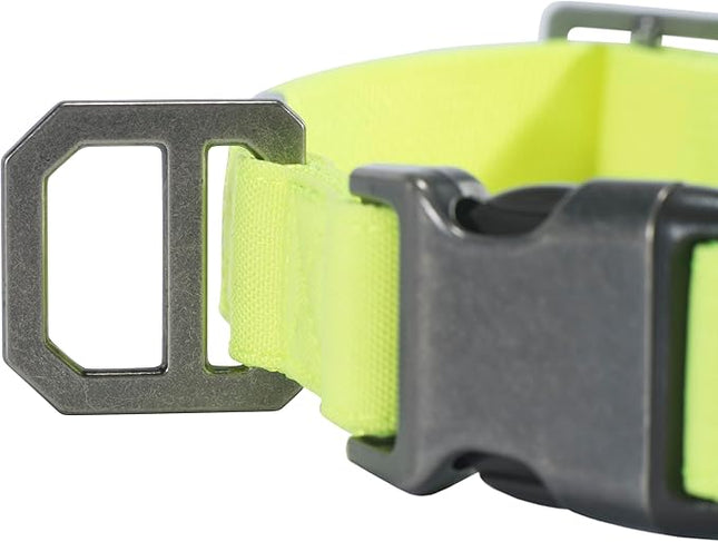 Carhartt Nylon Duck Dog Collar, Fully Adjustable Durable 2-Ply Cordura Nylon Canvas Collars for Dogs, Brite Lime, Medium