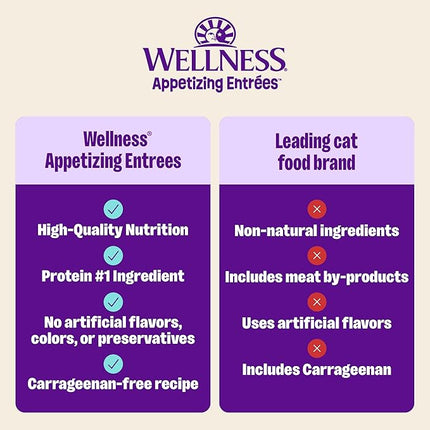 Wellness Appetizing Entrées Flaked & Shredded Adult Wet Cat Food, Natural, Protein-Rich, Grain Free, 2.8 Ounce Pouch, 8 Pack (Seafood & Poultry Variety Pack)