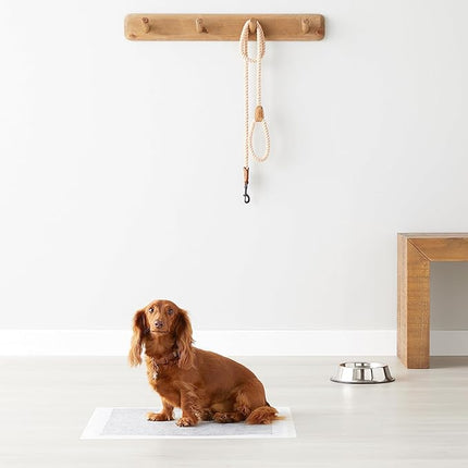 Amazon Basics Carbon Odor-Control Dog and Puppy Pee Pads, 5-Layer Leak-Proof Super Absorbent, Quick-Dry Surface, Potty Training, Regular (22x22"), 80 Count, Gray