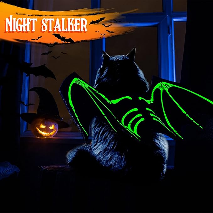 2 Pieces Halloween Pet Costumes Halloween Cat Bat Costume with Night Fluorescence and Halloween Pet Pumpkin Hat for Pet Cat and Small Dog Halloween Party Cosplay Party Decorations