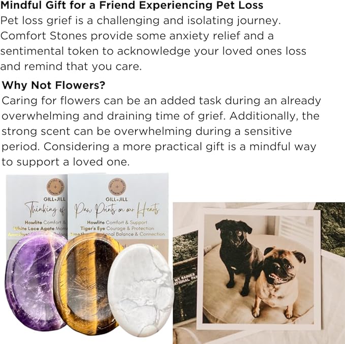 Paw Prints Comfort Worry Stones – Pet Loss Sympathy Gift for Loss of Dog – Dog Memorial Gifts for Loss of Dog with Amethyst, Tiger’s Eye & Howlite, Pet Memorial Gifts with Pouch & Message Card