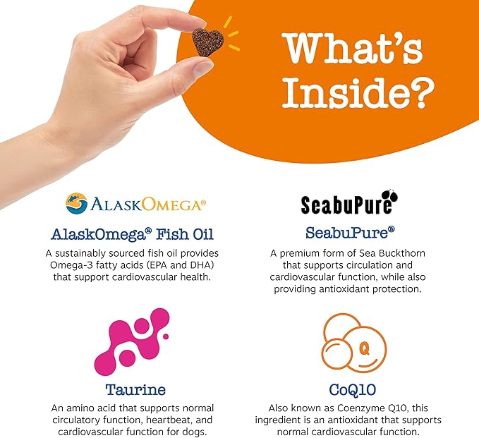 Zesty Paws Cardiovascular Support for Dogs - Taurine for Dogs - with CoQ10, L Carnitine & Sea Buckthorn - Senior Heart Health - AlaskOmega Fish Oil Omega 3 - Senior - Salmon - 90 Count