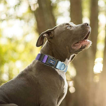 Roses&Poetry Reflective Dog Collar and Leash for Small Dogs, Puppy Collars with Leashes Set Gradient Violet, Adjustable Durable Pets for Extra Puppies（Violet-XS