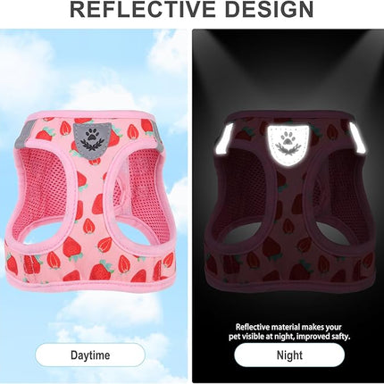 EXPAWLORER Small Dog Harness and Leash Set - Cute Puppy Harness Leash Dog Collar with AirTag Holder Silicone Case, Soft Padded Step in Pet Vest Reflective for Outdoor Walking, Strawberry M