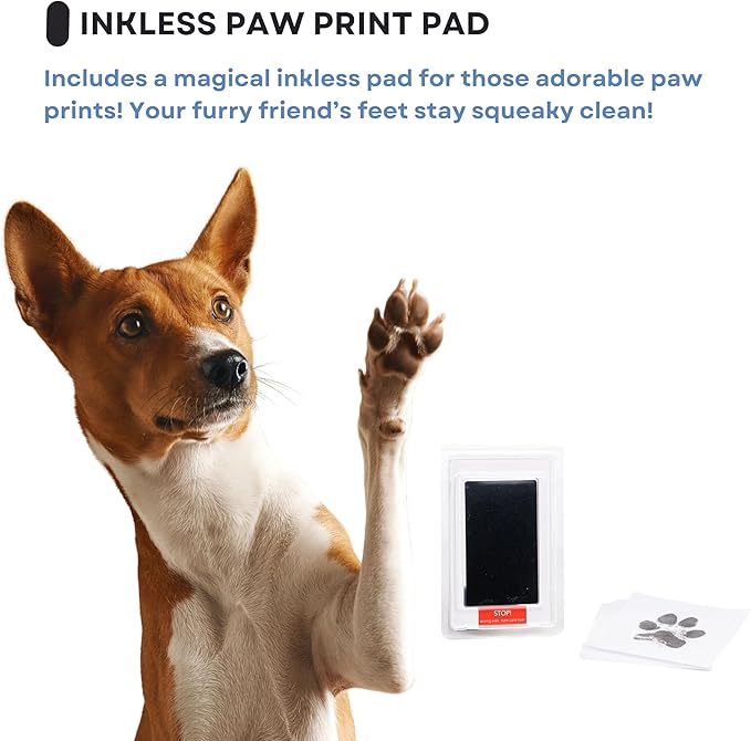 Pet Memorial Dog Picture Frame, 4 Customizable Displays, 9x9, Paw Print Kit for Dogs, Pet Memorial Gift for Dogs, Loss of Dog Sympathy Gift, Pet Paw Print Impression Kit (White)