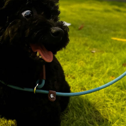BTINESFUL 7FT Slip Lead Dog Leash, Strong Nylon Rope Leash, 1/4 inch Diam Dog Training Lead for Small Medium Large Dogs, Misty Blue