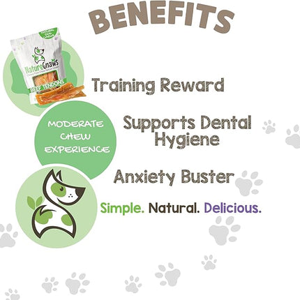 Nature Gnaws Beef Tendons for Dogs (8oz) - Mixed Thickness - Long Lasting for Small and Medium Dogs - Natural Beef Jerky Dog Chew Bones - Rawhide Free