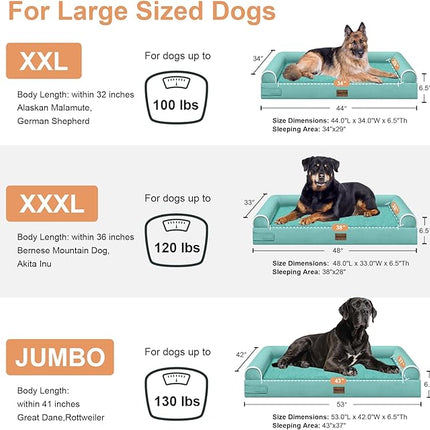 Large Dog Bed Orthopedic Washable: Beds Bolster XXL Bed Big XLarge Dogs Egg Crate Foam Sofa Couch Waterproof Removable Cover - Aqua Blue