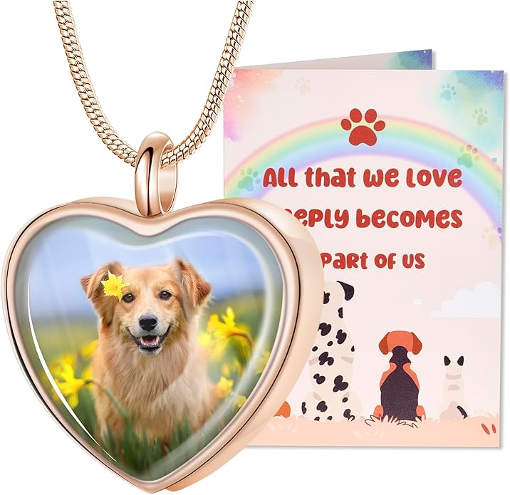 Fanery Sue Pet Ashes Necklace Cremation Jewelry Personalized Picture&Quote Memorial Gifts for Loss of Dog/Cat Urn Necklaces Pets Loss Sympathy Gift Keepsake for Women