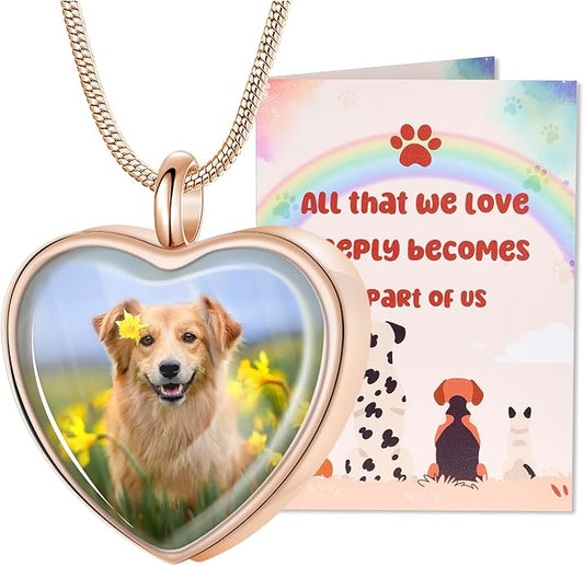 Fanery Sue Pet Ashes Necklace Cremation Jewelry Personalized Picture&Quote Memorial Gifts for Loss of Dog/Cat Urn Necklaces Pets Loss Sympathy Gift Keepsake for Women