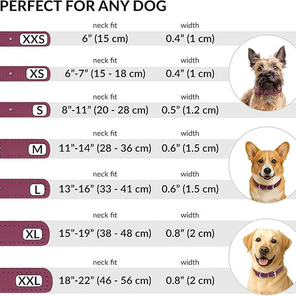 CollarDirect Rolled Leather Dog Collar, Soft Padded Round Puppy Collar, Handmade Genuine Leather Collar Dog Small Large Cat Collars 13 Colors (11-14 Inch, Pink Textured)