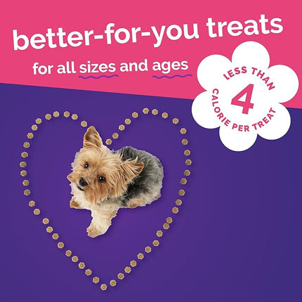 Fruitables Skinny Minis Dog Treats, Healthy Sweet Potato Treat for Dogs, Low Calorie & Delicious, Puppy Training, No Wheat, Corn or Soy, Made in the USA, Grilled Bison Flavor, 5oz