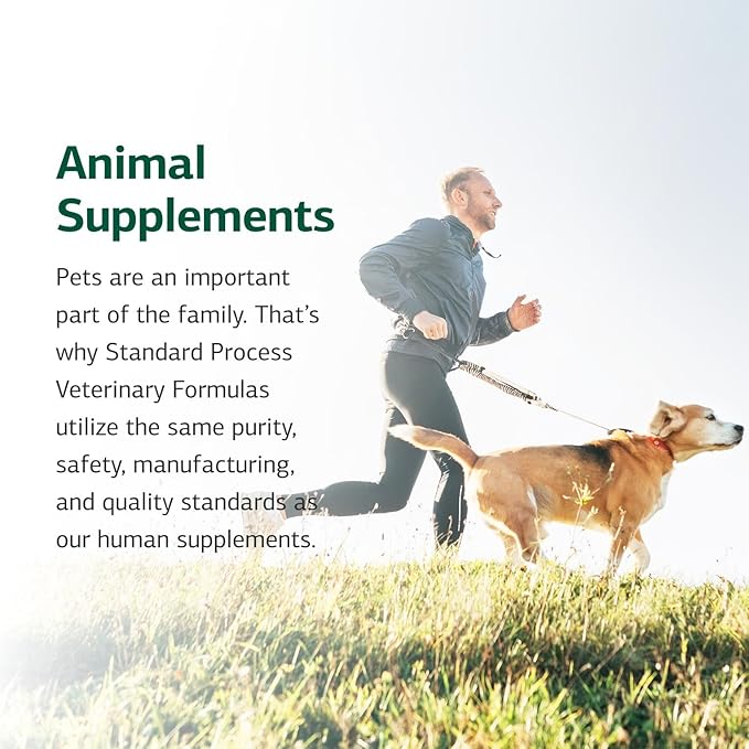 Standard Process Inc. Canine Dermal Support - Skin & Adrenal Gland Supplement - Comprehensive Skin Health Supplement for Dogs - Daily Immune & Liver Support Powder - 125 g