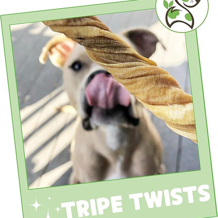 Nature Gnaws Tripe Twists for Dogs 4-5" (20 Count) - Crunchy Grain Free Reward Snack for Small, Medium & Large Breeds - Natural Beef Dog Chew Treats - Rawhide Free