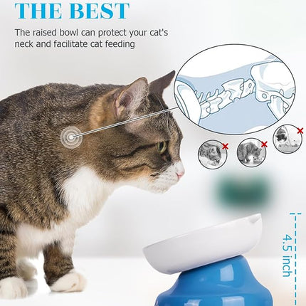 Y YHY Ceramic Slow Feeder Cat Bowl, Elevated Cat Bowl Tilted Design Slow Feeder for Dog and Cat for Dry and Wet Food, Blue