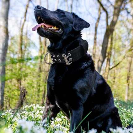 Dog Collar for Large Dogs - 2 in Black Collars with Handle for Extra Large Breed Dogs, Heavy Duty K9 Nylon Pet Tactical Collar XL, Best Choice for Pitbull Doberman Rottweiler 17"-22"