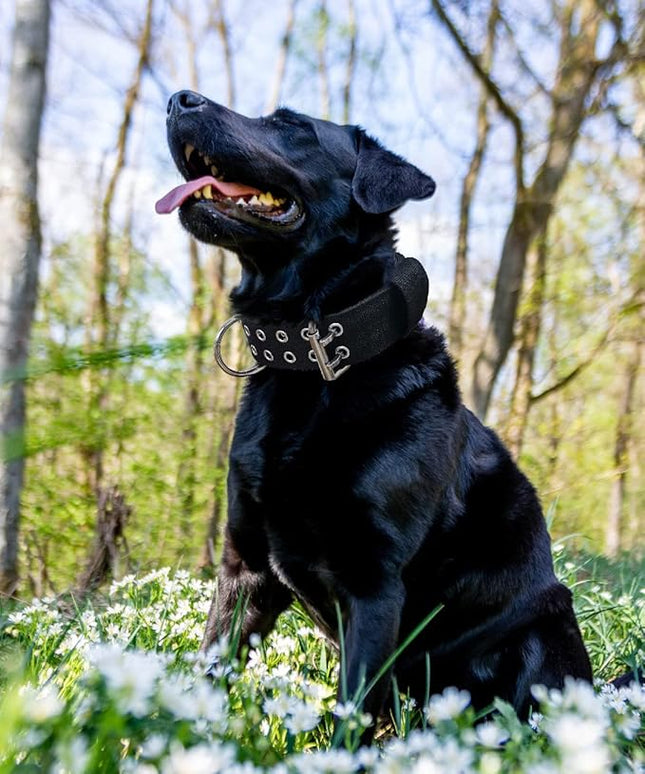 Dog Collar for Large Dogs - 2 in Black Collars with Handle for Extra Large Breed Dogs, Heavy Duty K9 Nylon Pet Tactical Collar XL, Best Choice for Pitbull Doberman Rottweiler 17"-22"