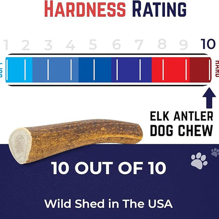 Devil Dog Pet Co. Elk Antlers for Dogs, Beast 10"+, 1 Pack, Grade A Long Lasting Chew for Aggressive Chewers, Premium USA Naturally Shed Antler – Healthy, No Odor, Durable Dog Chew