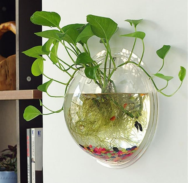 Hanging Wall Mounted 1 Gallon Fish Tank Bowl Aquarium Wall Decor Plant Fish Bubble - Clear (Large)