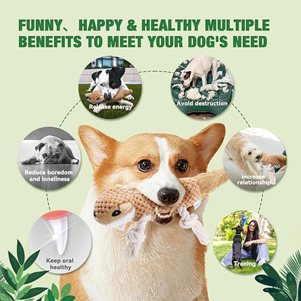 LEGEND SANDY Squeaky Dog Toys, Plush Small Dog Toys, 5 Pack Stuffed Animal Puppy Toys with Tug of War Ropes Value Bundle, Puppy Chew Toys for Teething, Dog Chew Toy for Small Medium Breeds