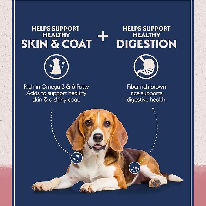 Natural Balance Limited Ingredient Adult Dry Dog Food with Healthy Grains, Salmon & Brown Rice Recipe, 24 Pound (Pack of 1)