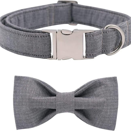 Lionet Paws Dog Collar with Bowtie, Durable Adjustable and Comfortable Collar for X-Small Dogs and Cats, Neck 8-12in