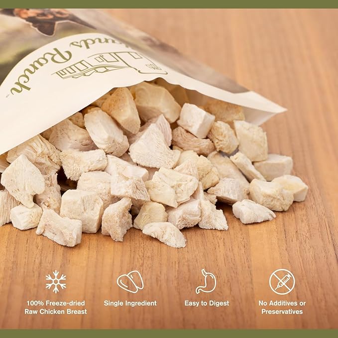 Superfood Bite, Freeze-Dried Raw Dog Treats - Protein Rich, Train & Reward, Traceable Single Ingredient by Katherine Heigl (4 Ounce (Pack of 4) Chicken Breast)