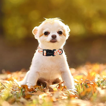 ARING PET Fall Dog Collars, Cute Autumn Pumpkin Maple Leaves Pet Collar with Quick Release Buckle for Small Medium Large Girl Boy Dogs-XS
