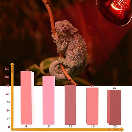 60W Infrared Red Heat Lamp for Reptiles, Basking Spot Bulb for Pet Lizards, Bearded Dragons, Chameleons & Snakes, Red Heat Emitter Light for Chickens Coop and Brooder Use, E26|2 Pack