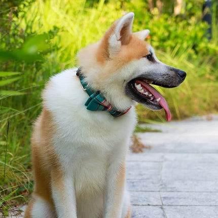 Faleela Cute Soft Girl Christmas Dog Collar with Bow, Bowtie Dog Collar for Boy,Detachable Adjustable Collar for Small Medium Large Pet