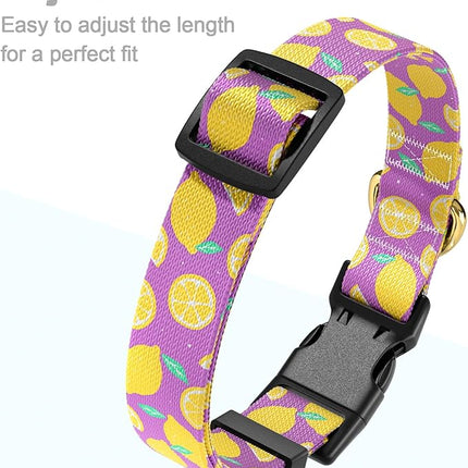 Rnivvi Dog Collar for Small Dogs, Cute Heavy Duty Adjustable Puppy Collar with Quick Release Buckle for Girl & Female, Pet Accessories for Walking Running, S Length 3/4" Width, Lemon