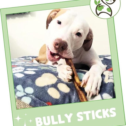 Nature Gnaws Bully Sticks for Dogs 5-6" (8oz) - Mixed Thickness - Long Lasting for Aggressive Chewers and Large Dogs - Natural Beef Dog Chew Bones