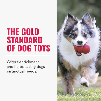 KONG Classic Stuffable Dog Toy - Fetch & Chew Toy for Dogs - Treat-Filling Capabilities & Erratic Bounce for Extended Play Time - Durable Natural Rubber Material - for Small Dogs